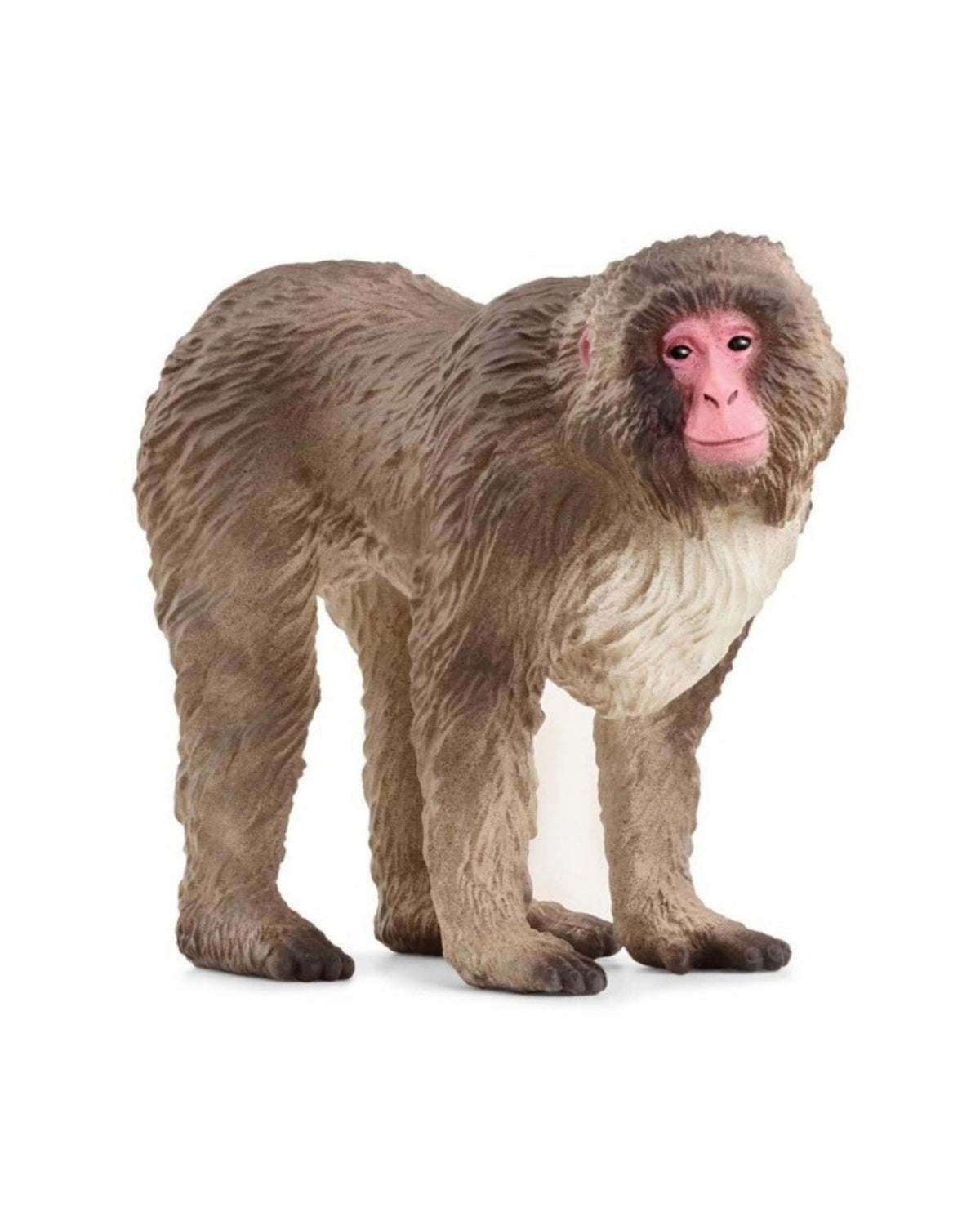 Japanese Macaque - Schleich 14871