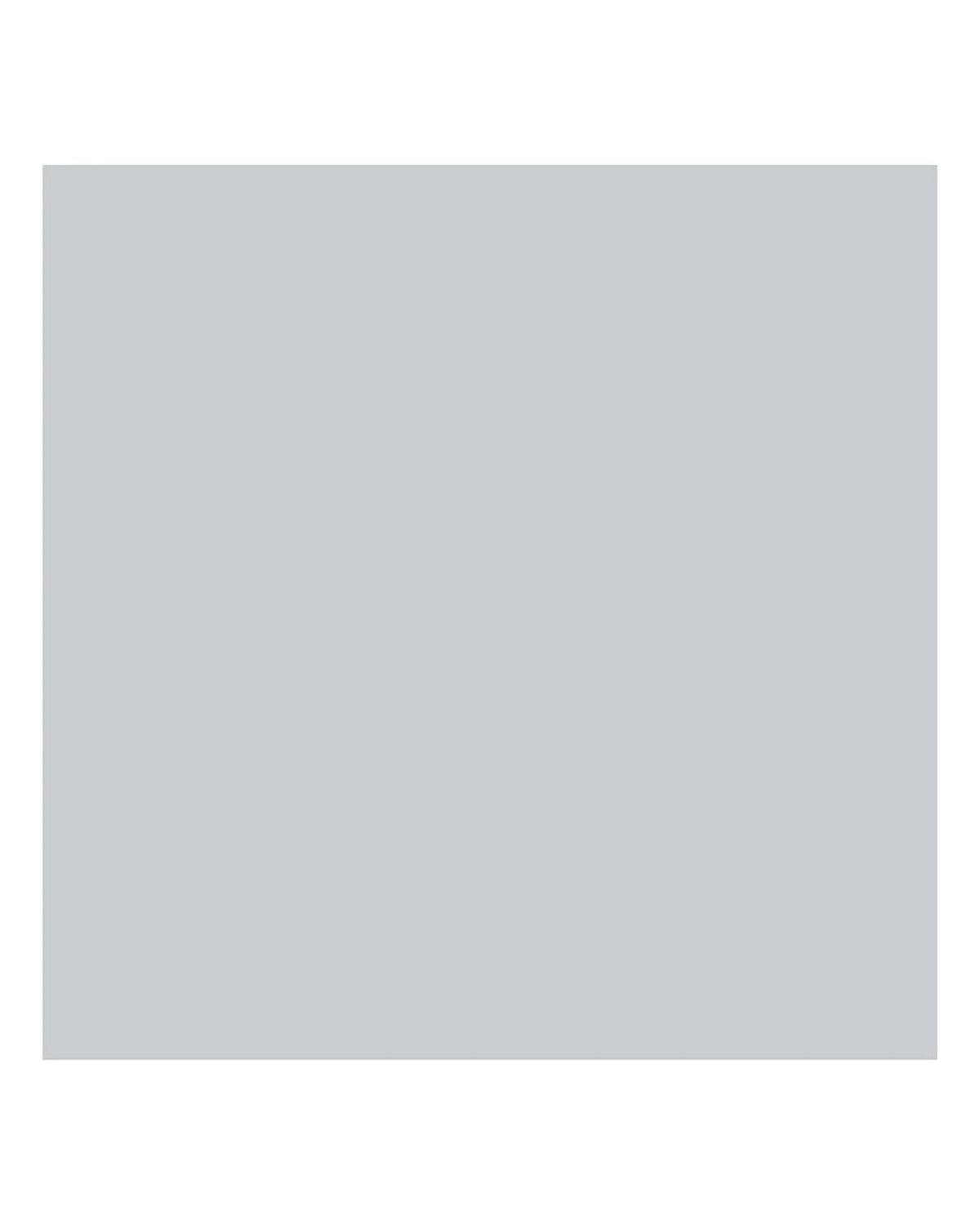 Plus color craft paint light gray