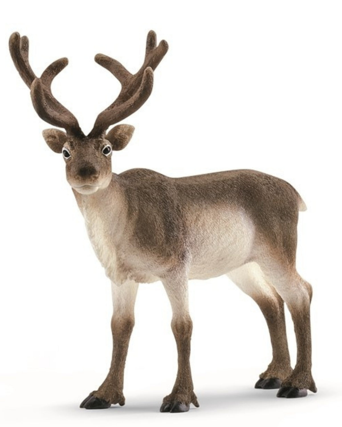 Rensdyr - Schleich 14837