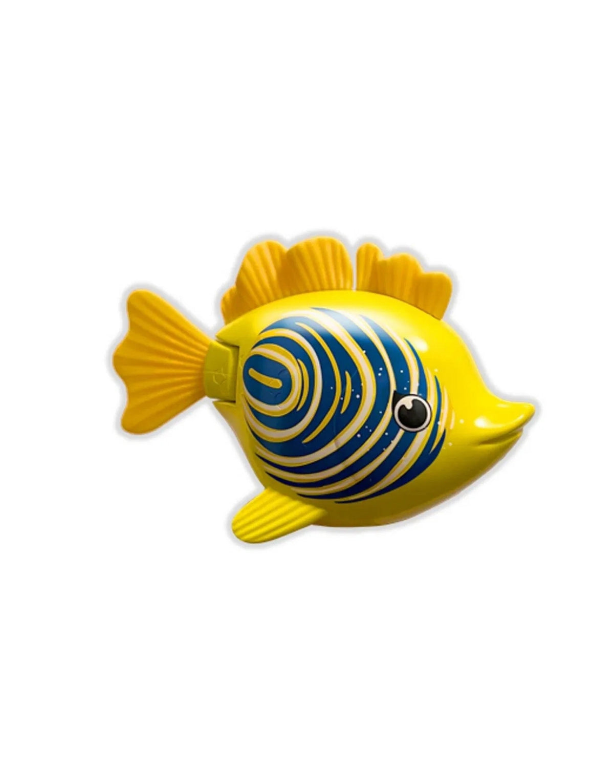 Rainbow Reef Fish - Lebron Waves