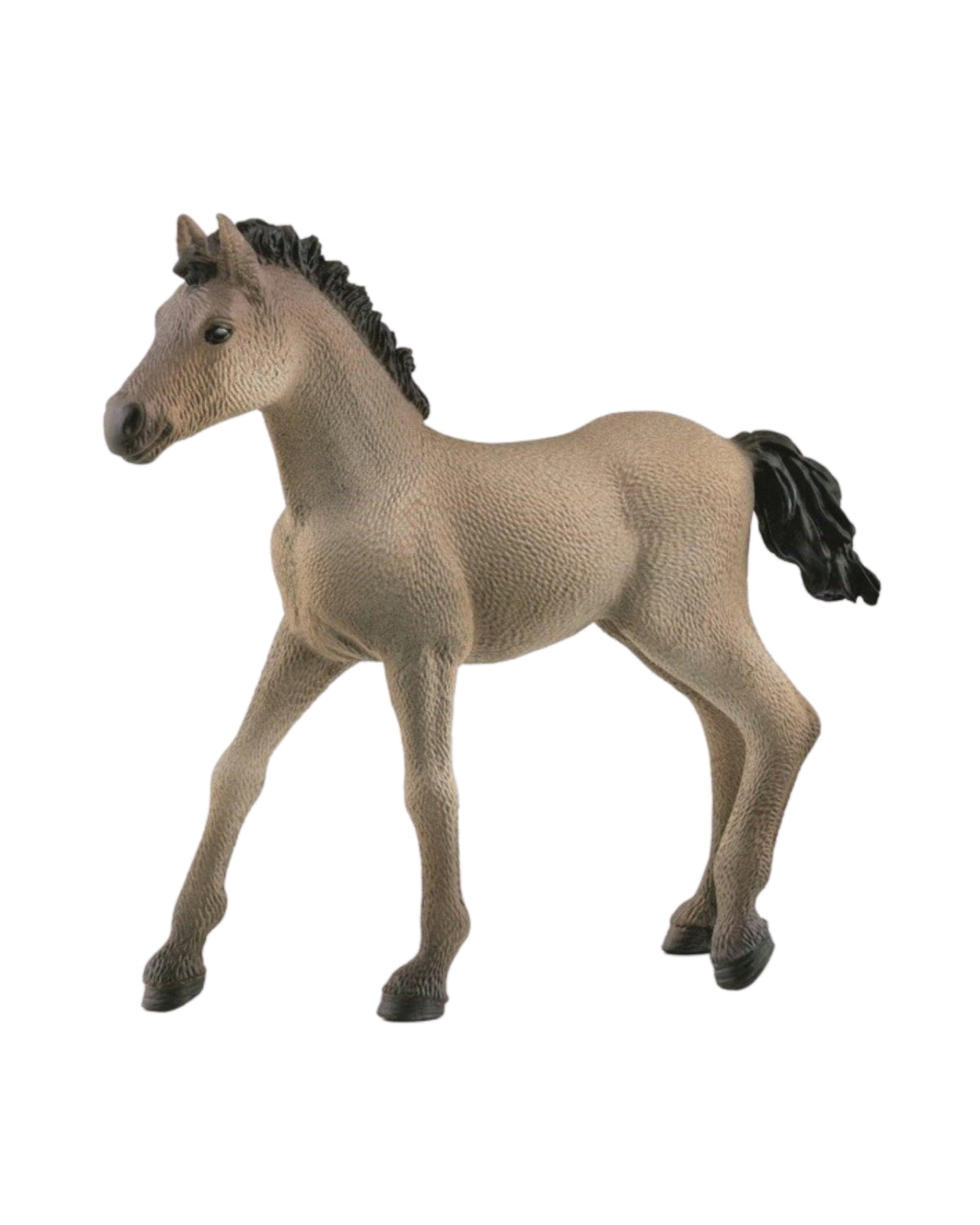 Criollo Definitive Foal - Schleich 13949