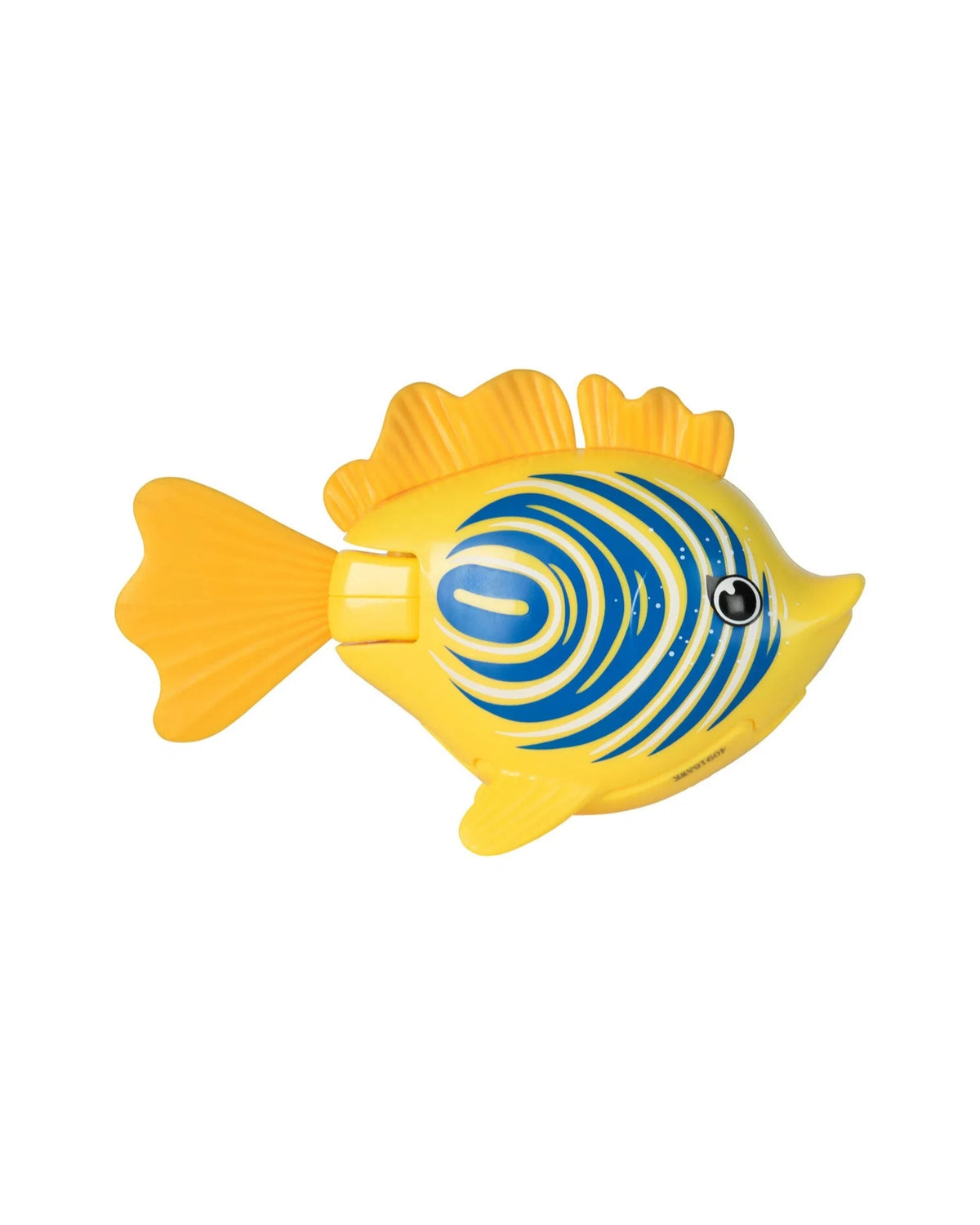 Rainbow Reef Fish - Lebron Waves