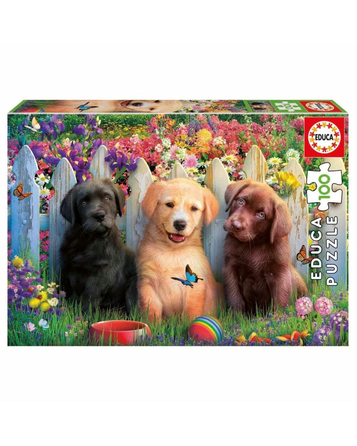 Educa 100 Posing Puppies