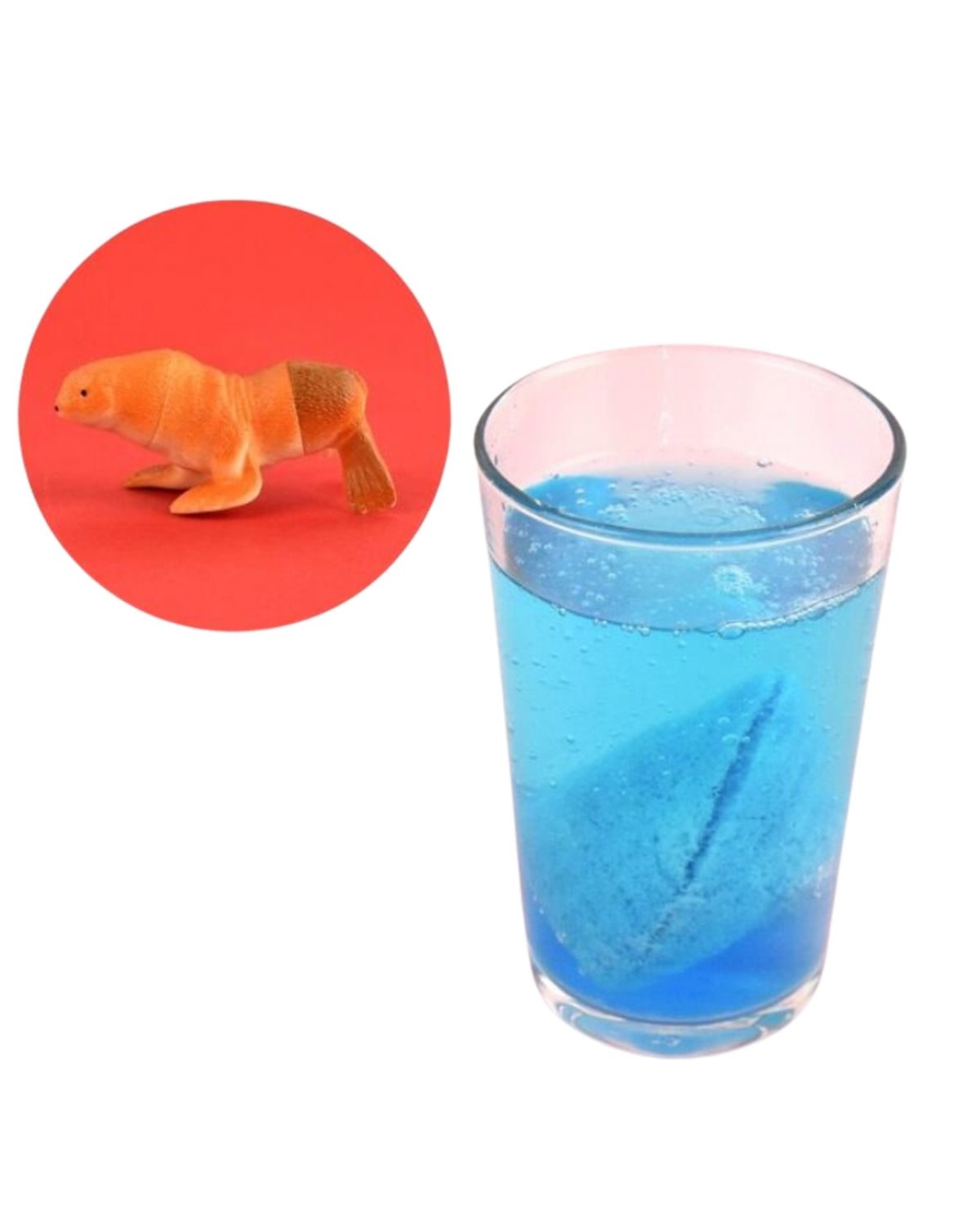 Fizzy ocean puzzle