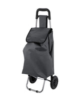 Shopping cart / Shopping trolley / Trolley