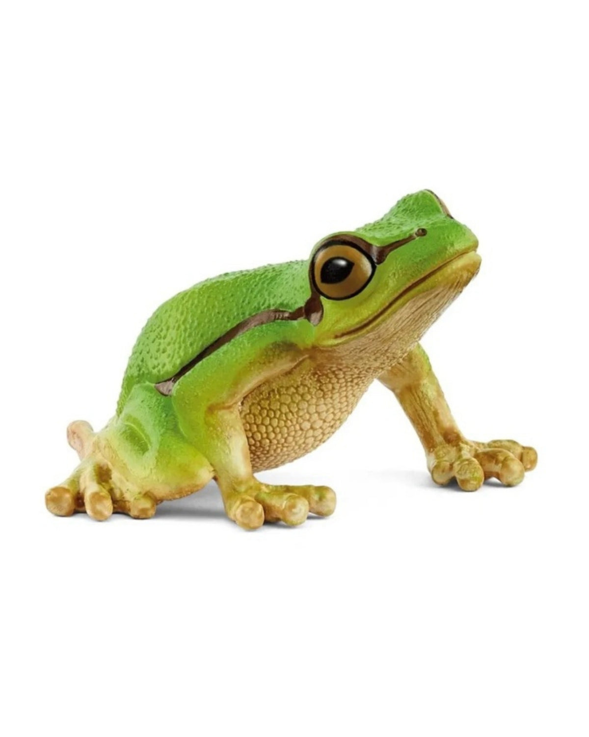 Frog - European Tree Frog - Schleich 14882