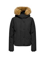 Sort - black - JDY - Jakke - 15355096