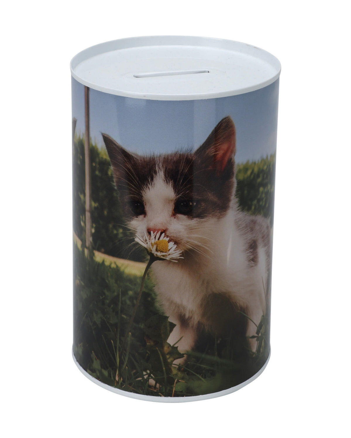 Money box in metal 10x15cm 1pc
