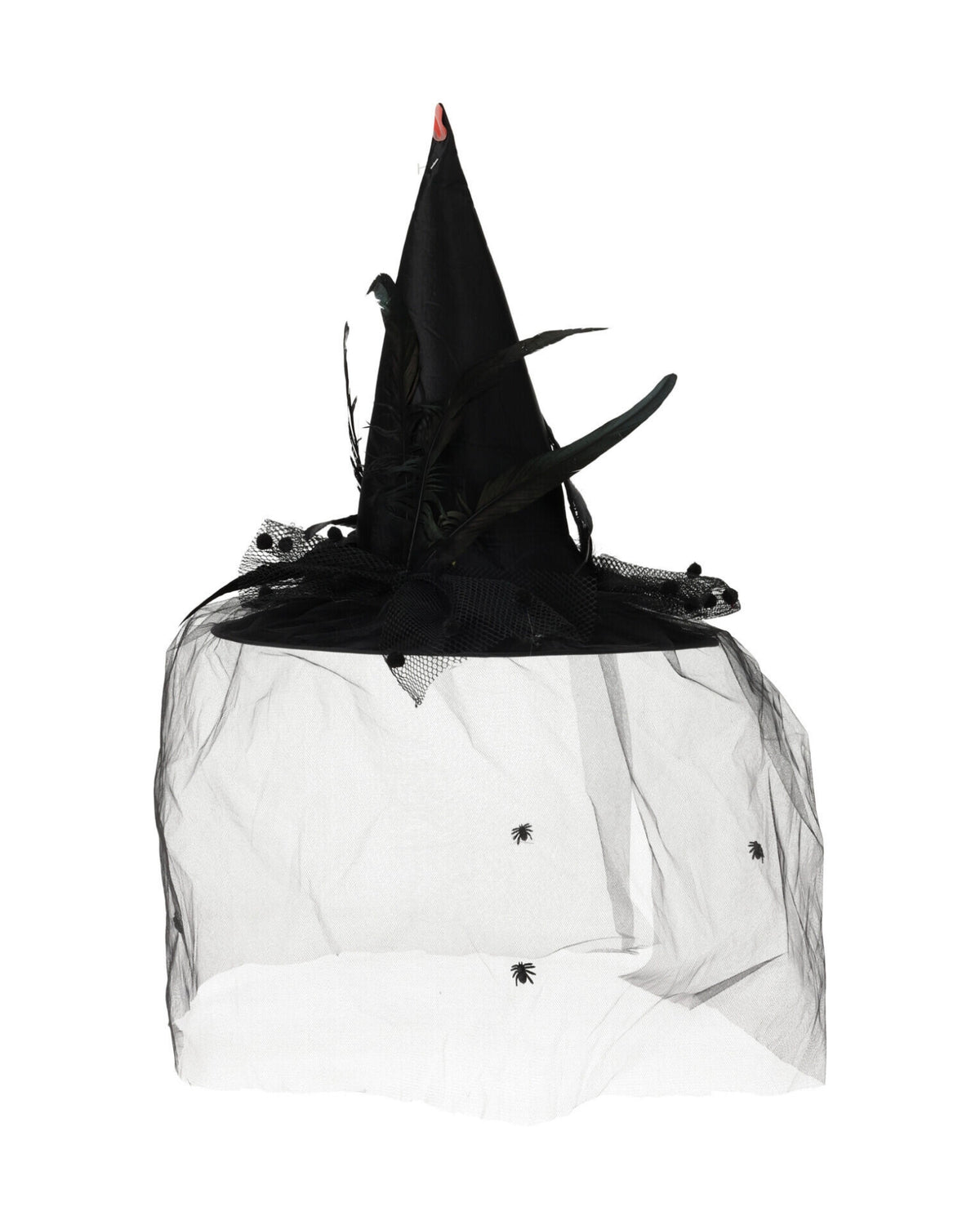 Witch hat with veil