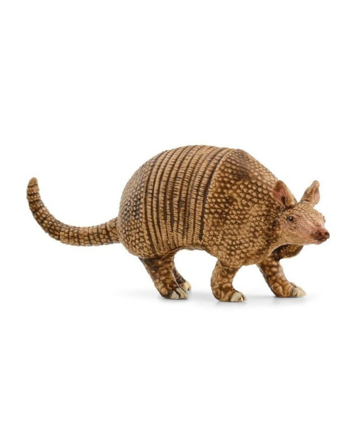 Armadillo - Schleich 14874