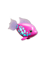 Rainbow Reef Fish - Tina Turner