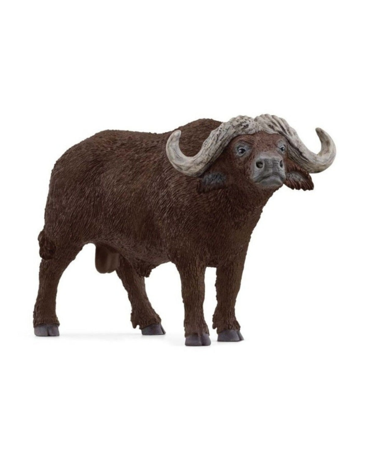 African Buffalo - Schleich 14872