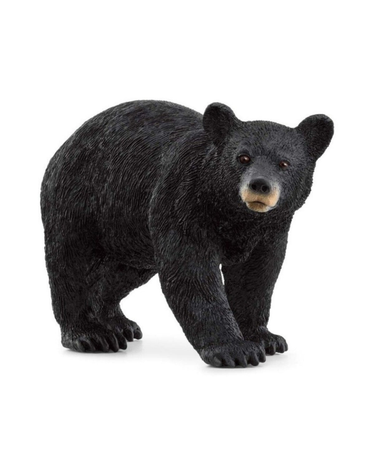 Bjørn - American Black Bear - Schleich 14869
