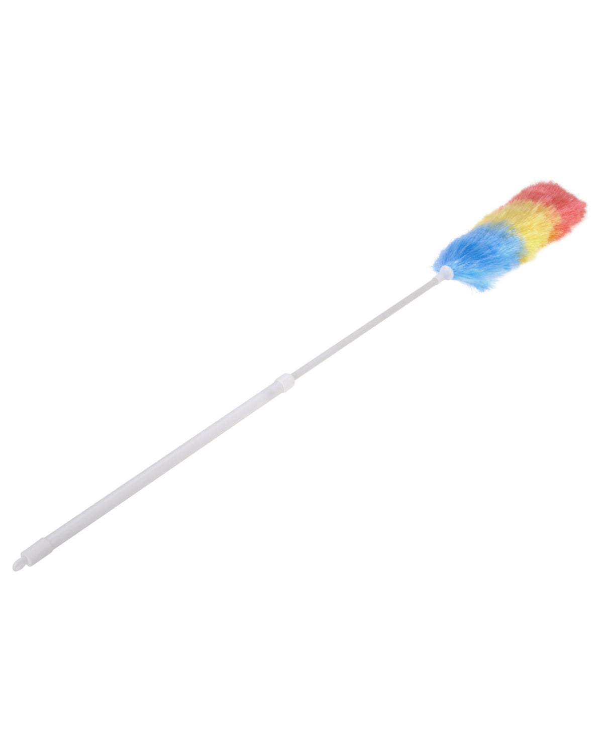Dustpan with extension