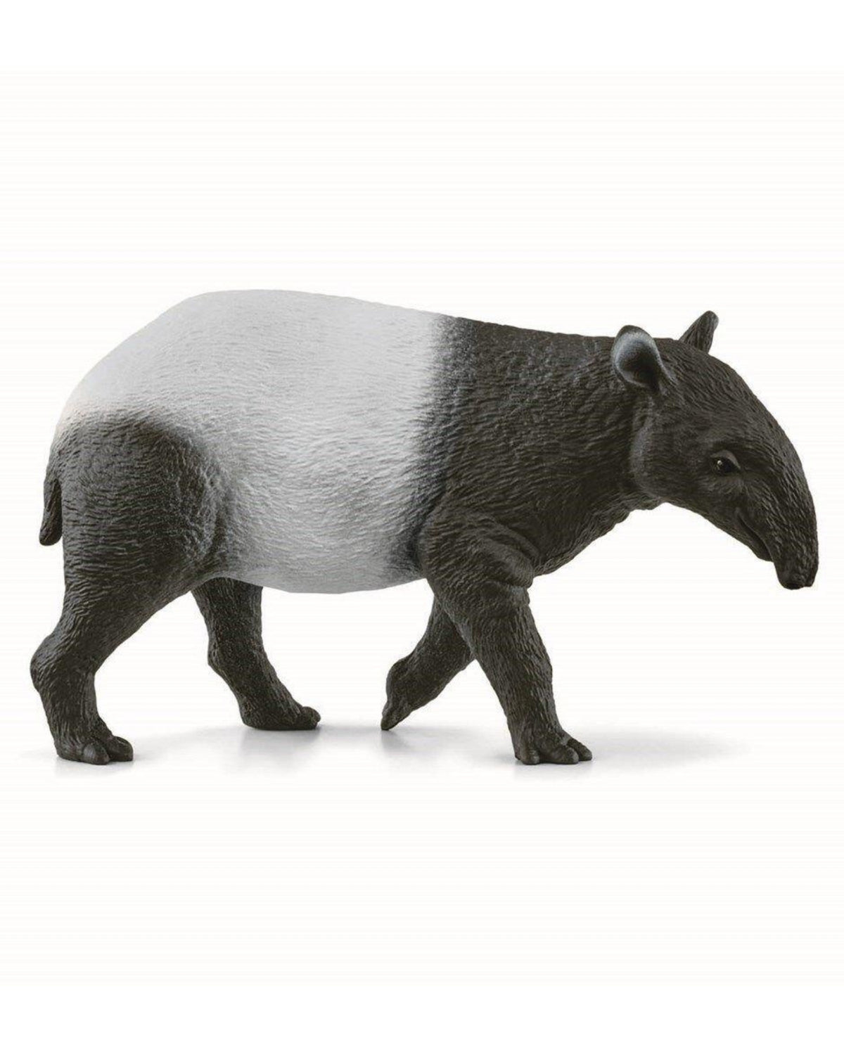 Tapir - Schleich 14850
