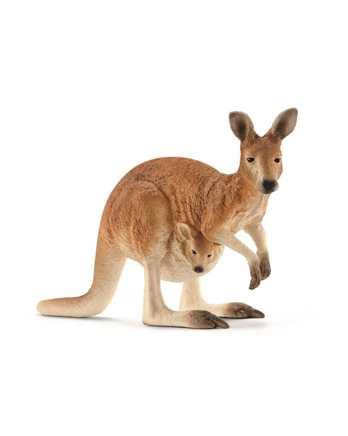 Kangaroo - Schleich 14756