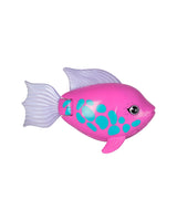 Rainbow Reef Fish - Tina Turner