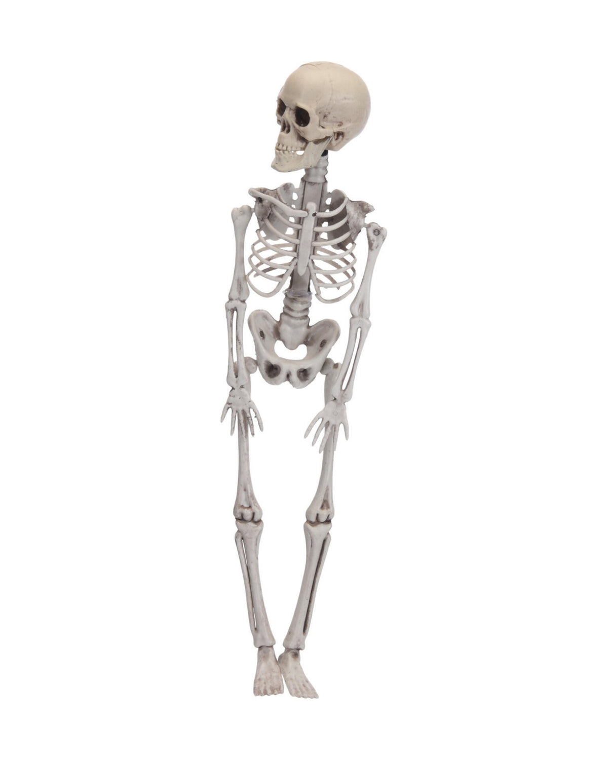 Skeleton 42cm