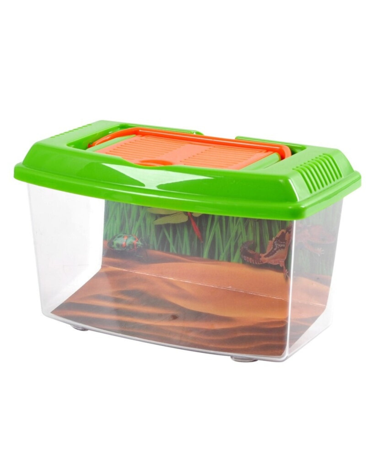 Portable insect box