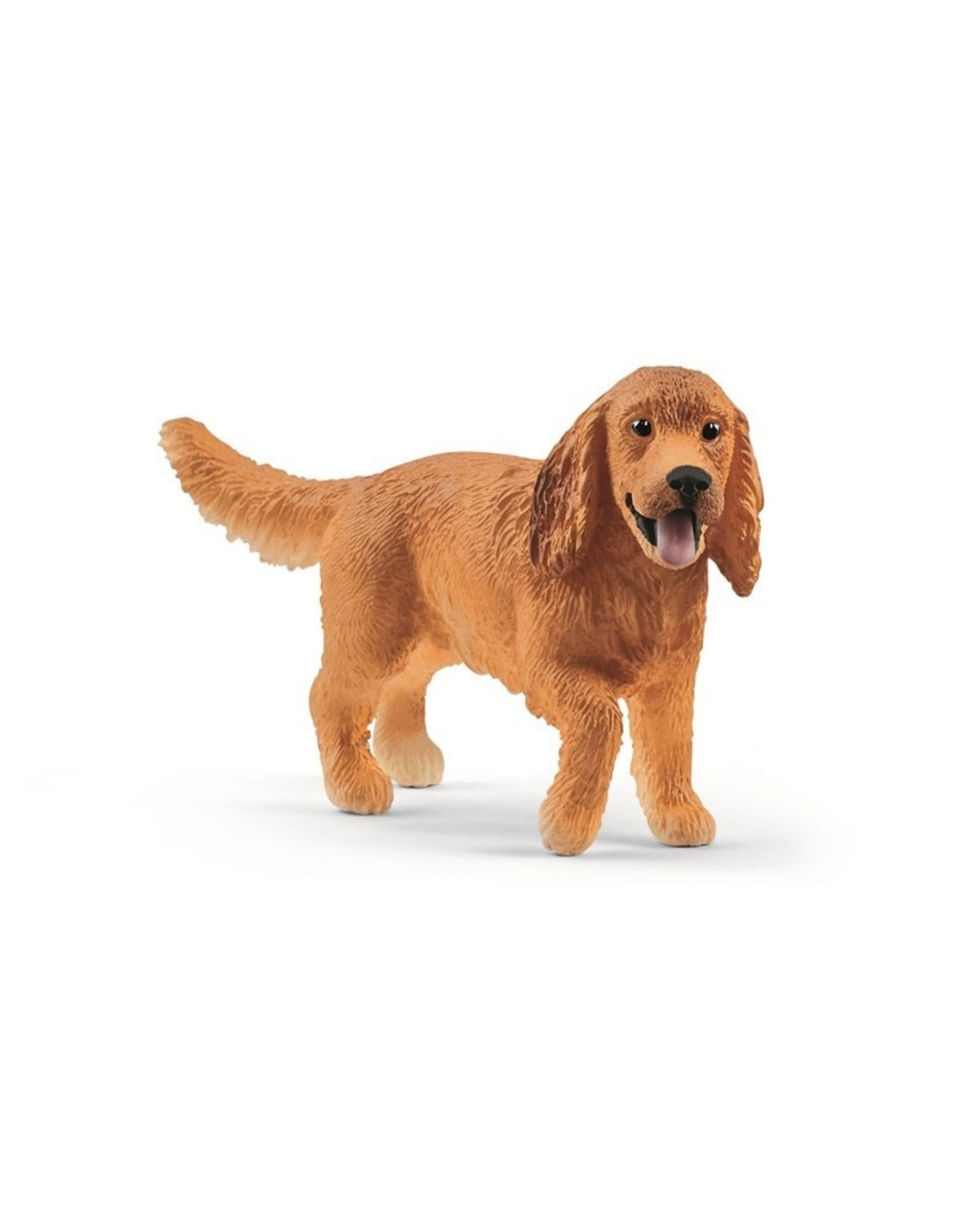 Schlich Engelsk cocker Spaniel