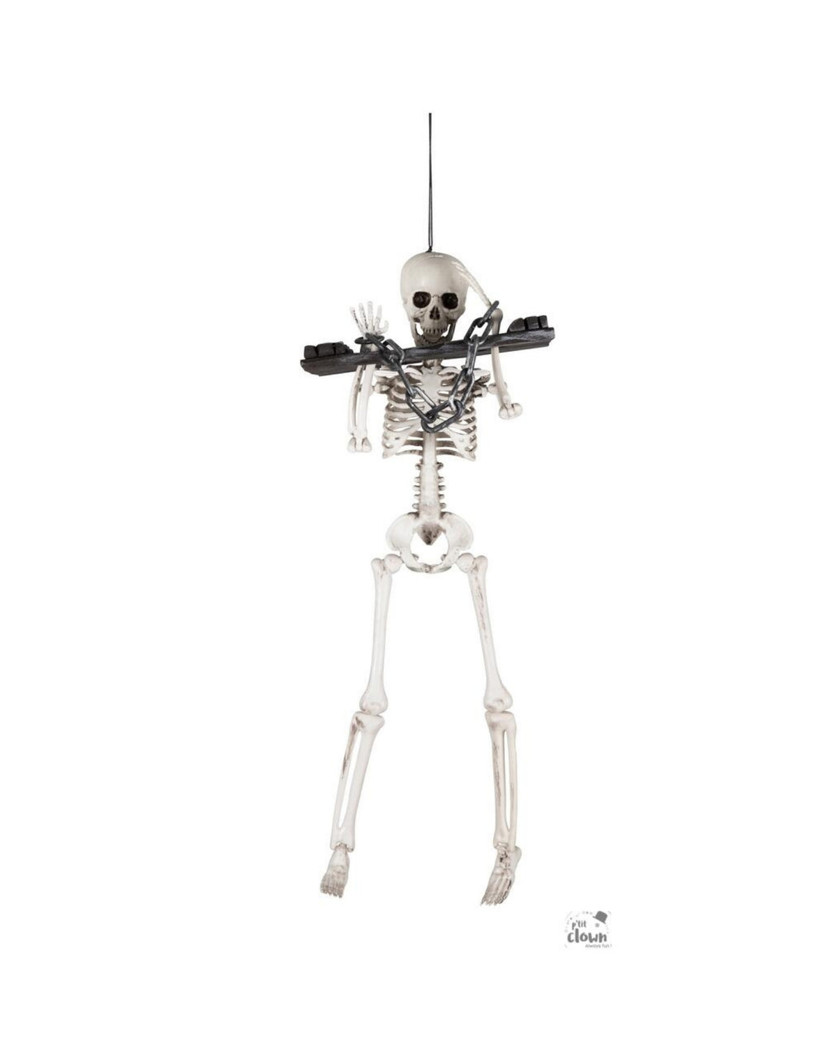Skelet 40cm