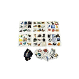 Picture lottery 6 plates + 54 cards