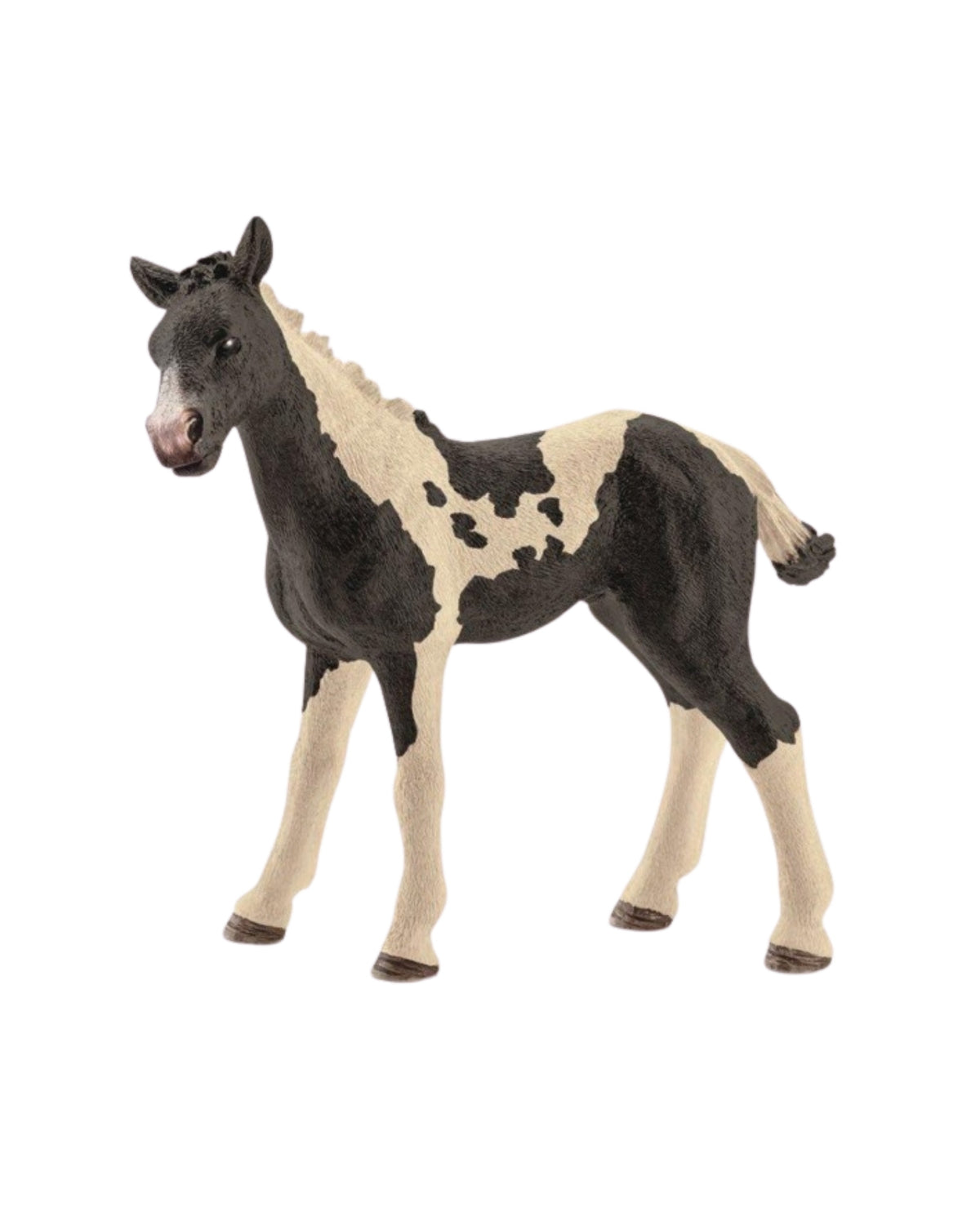 Pinto foal - Schleich 13803