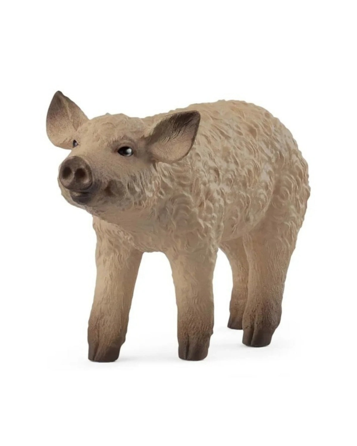 Mangalica Piglet - Schleich 14893