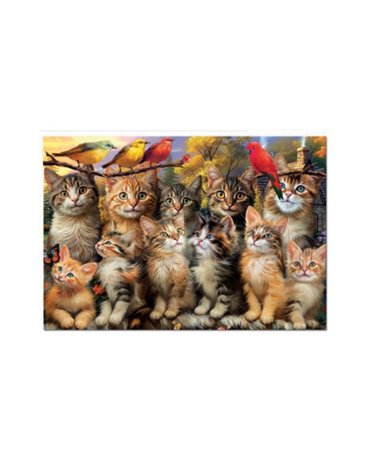 Educa 500 Kittens And Birds 