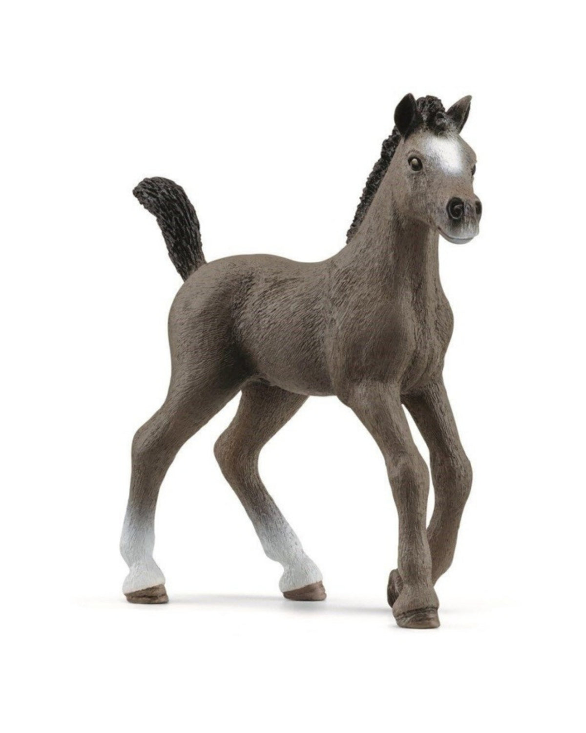 Cheval de Selle Fr. foal - Schleich 13957