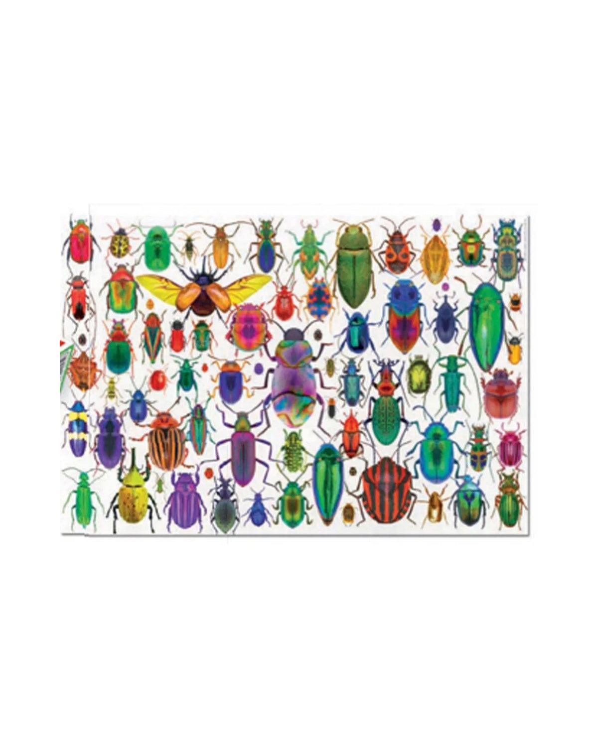 Educa 500 Beetles 