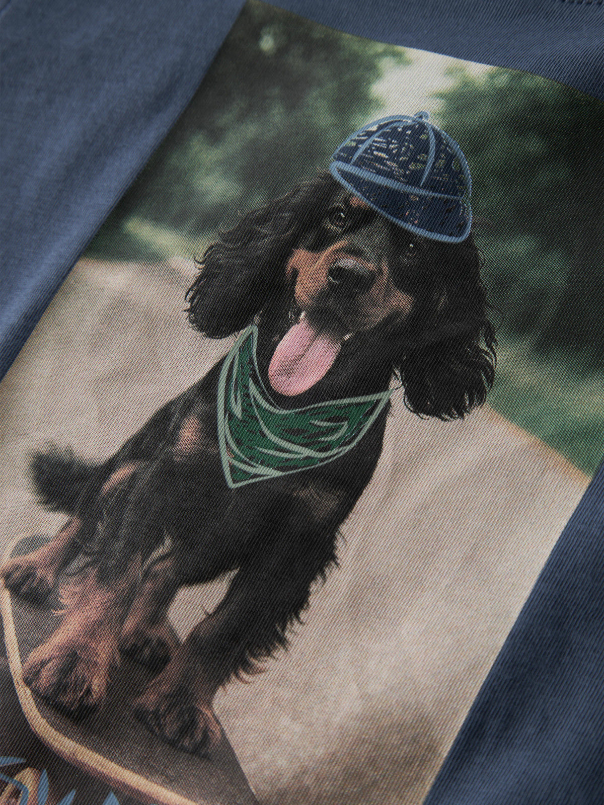 Vintage Indigo Skater Dog Bluse fra Name it - 13238400