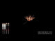 (No.20) Gold 5 pcs 2" ball rockets
