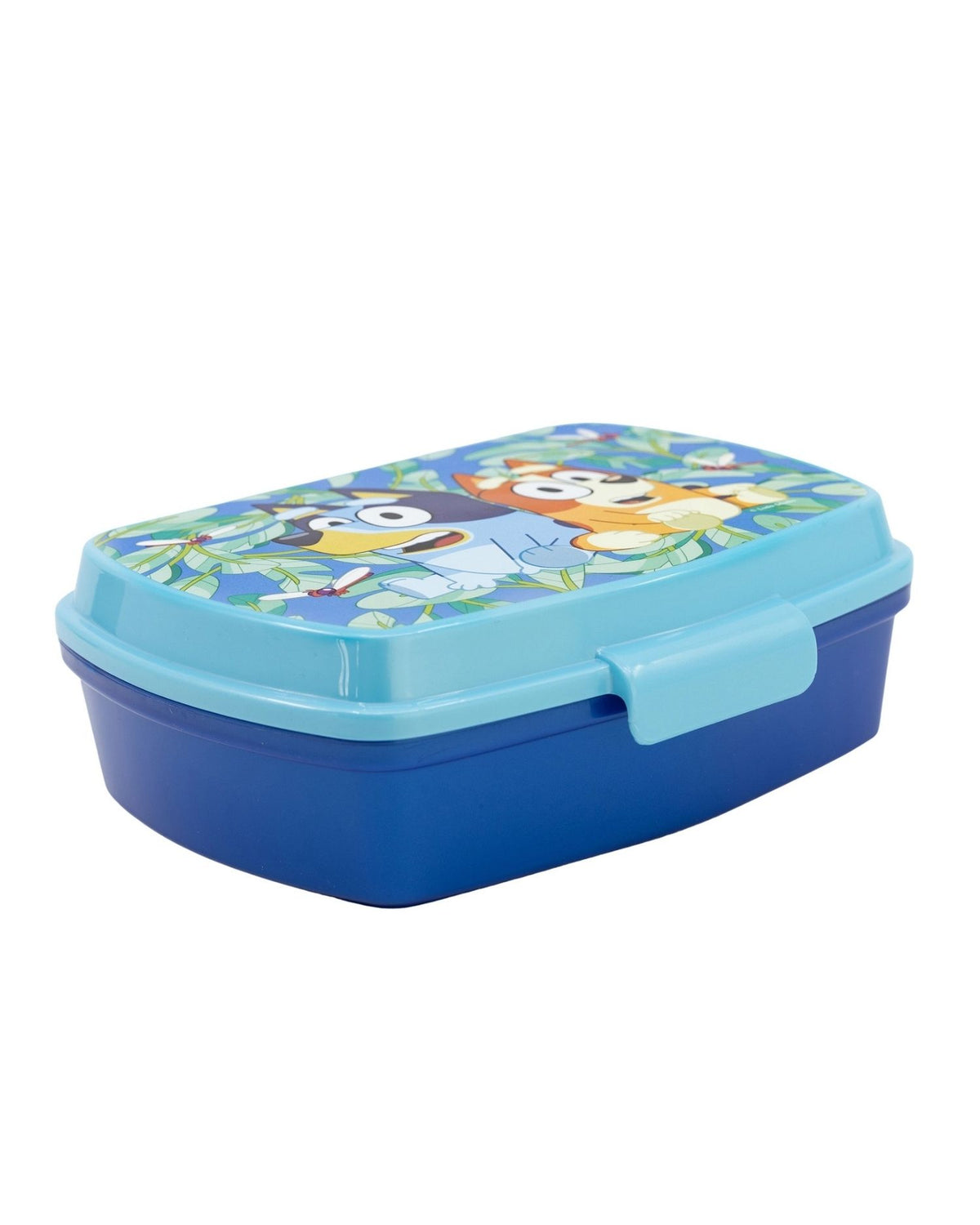 Bluey lunch box